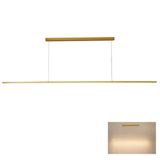 Beam 2.5m Pendant