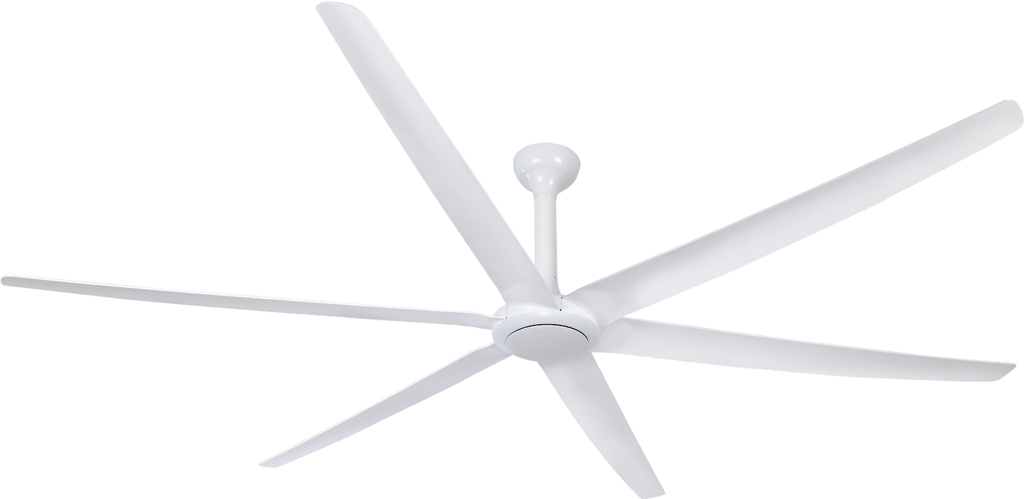 The Big Fan