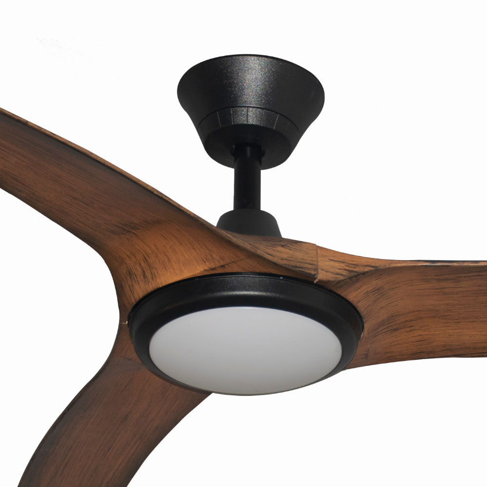 Aqua IP66 DC 70'' - Black & Koa